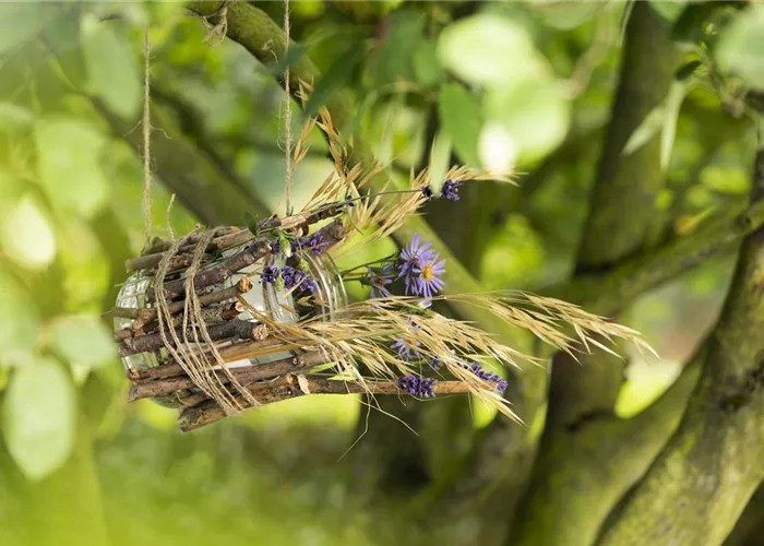 Ein Vogelhaus aus einem Weckglas - gläserner Futter-Stopp für Vögel